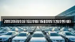 광주광역시 광산구 신동 렌트카,단기렌트카,장기렌트카,중고차,중고차매매,중고차매입