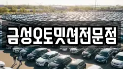 금성오토밋션전문점
