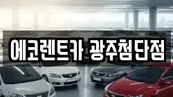 광주광역시 광산구 쌍암동 렌트카,단기렌트카,장기렌트카,중고차,중고차매매,중고차매입