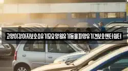 고양이강아지보호소유기묘요양원유기동물파양유기견보호센터쉼터
