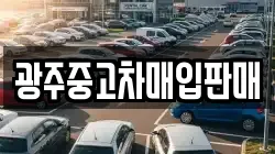 광주중고차매입판매