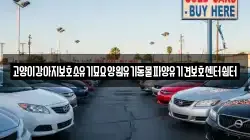 고양이강아지보호소유기묘요양원유기동물파양유기견보호센터쉼터