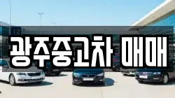 광주중고차 매매