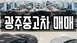 광주중고차 매매