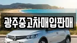 광주중고차매입판매