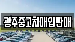 광주중고차매입판매