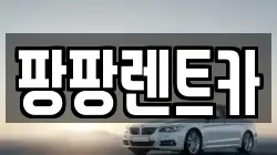 팡팡렌트카