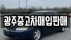 광주중고차매입판매