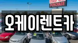 광주광역시 북구 동림동 렌트카,단기렌트카,장기렌트카,중고차,중고차매매,중고차매입
