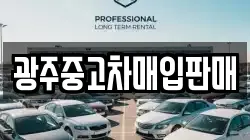 광주중고차매입판매