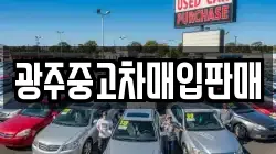 광주중고차매입판매