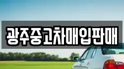 광주중고차매입판매
