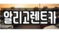 알리고렌트카
