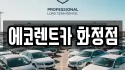 에코렌트카 화정점