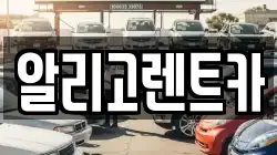 알리고렌트카
