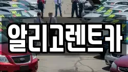 알리고렌트카