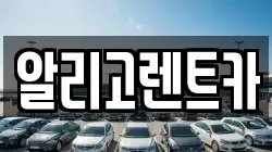 알리고렌트카