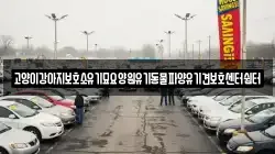 고양이강아지보호소유기묘요양원유기동물파양유기견보호센터쉼터