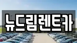 뉴드림렌트카