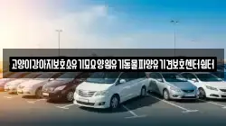 고양이강아지보호소유기묘요양원유기동물파양유기견보호센터쉼터