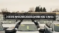 24시가정견분양고양이강아지무료분양애견샵유기견보호소