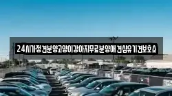 24시가정견분양고양이강아지무료분양애견샵유기견보호소