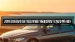 고양이강아지보호소유기묘요양원유기동물파양유기견보호센터쉼터