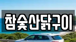 참숯산닭구이