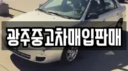 광주중고차매입판매