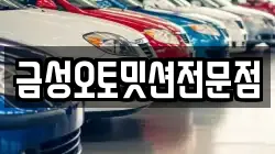 금성오토밋션전문점