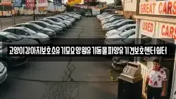 고양이강아지보호소유기묘요양원유기동물파양유기견보호센터쉼터