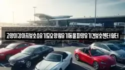 고양이강아지보호소유기묘요양원유기동물파양유기견보호센터쉼터
