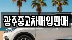 광주중고차매입판매