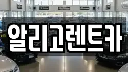알리고렌트카
