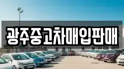 광주중고차매입판매