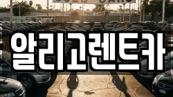 알리고렌트카