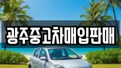광주중고차매입판매