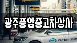 광주 북구 충효동 렌트카,단기렌트카,장기렌트카,중고차,중고차매매,중고차매입