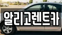 알리고렌트카
