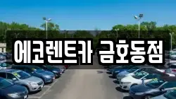 에코렌트카 금호동점