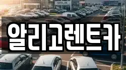 알리고렌트카