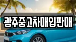 광주중고차매입판매