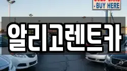 알리고렌트카