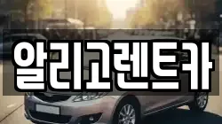 알리고렌트카