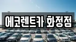 에코렌트카 화정점