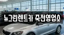 뉴그린렌트카 죽전영업소