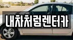 대구광역시 달서구 도원동 렌트카,단기렌트카,장기렌트카,중고차,중고차매매,중고차매입