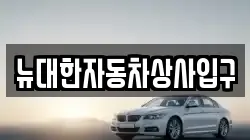 뉴대한자동차상사입구