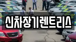 신차장기렌트리스