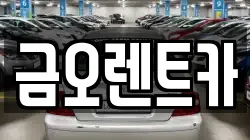 대구광역시 달서구 용산동 렌트카,단기렌트카,장기렌트카,중고차,중고차매매,중고차매입